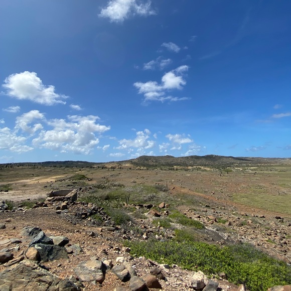 adrianvilleg334